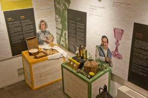 Mediterranean Diet exhibition