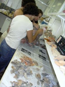 Students sorting pottery finds