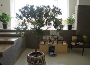 The tree and book display IWD Tavira