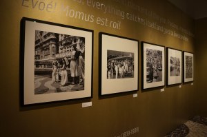 Images in Exhibition